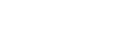 Stella's
